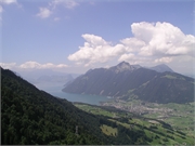 Walter 08.07.08-02.01.200920